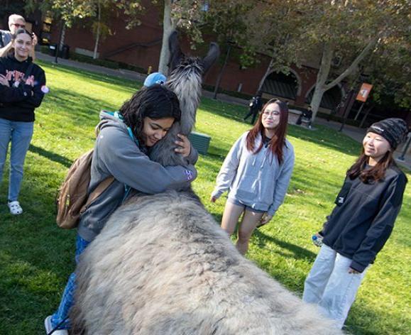 student hugs a llama while other students watch